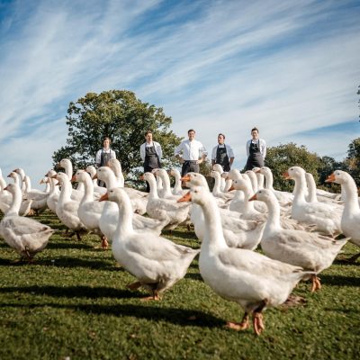 Photo-Schomburg, Sven Schomburg, Portrait-, Reportagefotograf, Gutsküche, Gänsehof-62